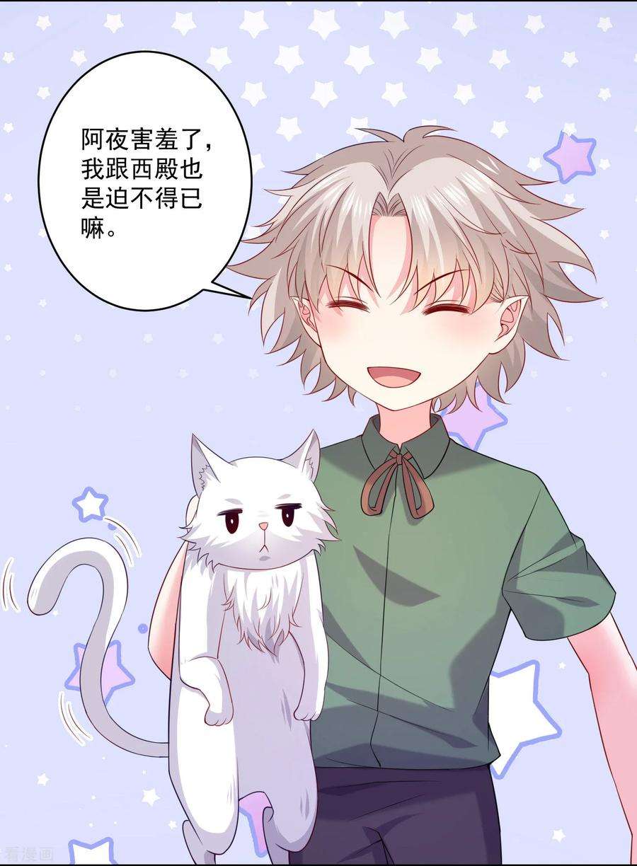 明星是血族238话 如果我的男人是只猫~