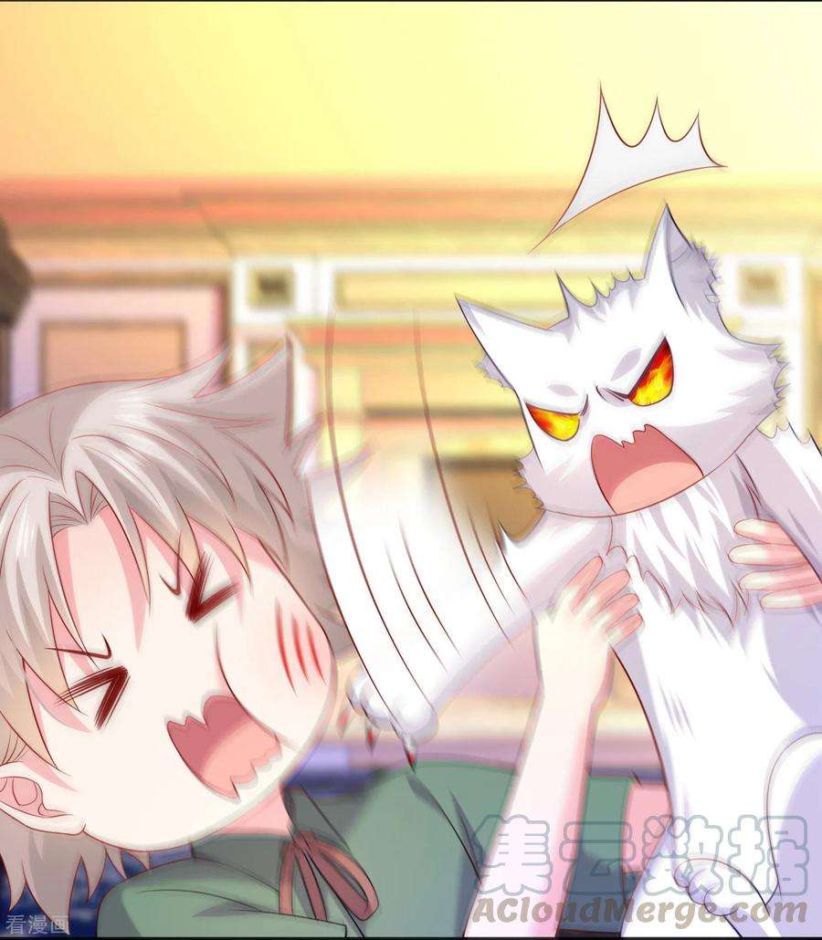 明星是血族238话 如果我的男人是只猫~