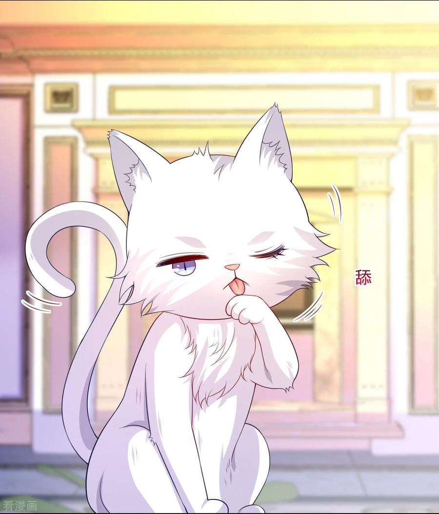 明星是血族238话 如果我的男人是只猫~