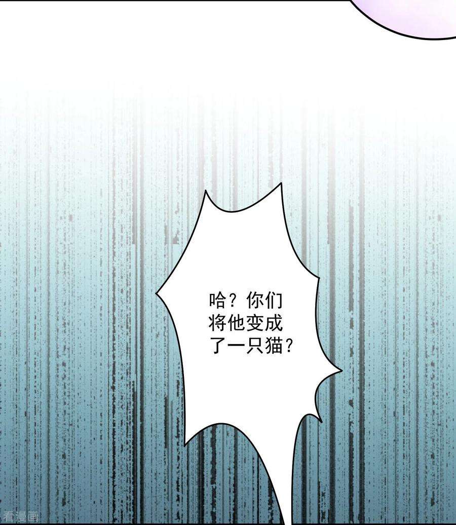 明星是血族238话 如果我的男人是只猫~