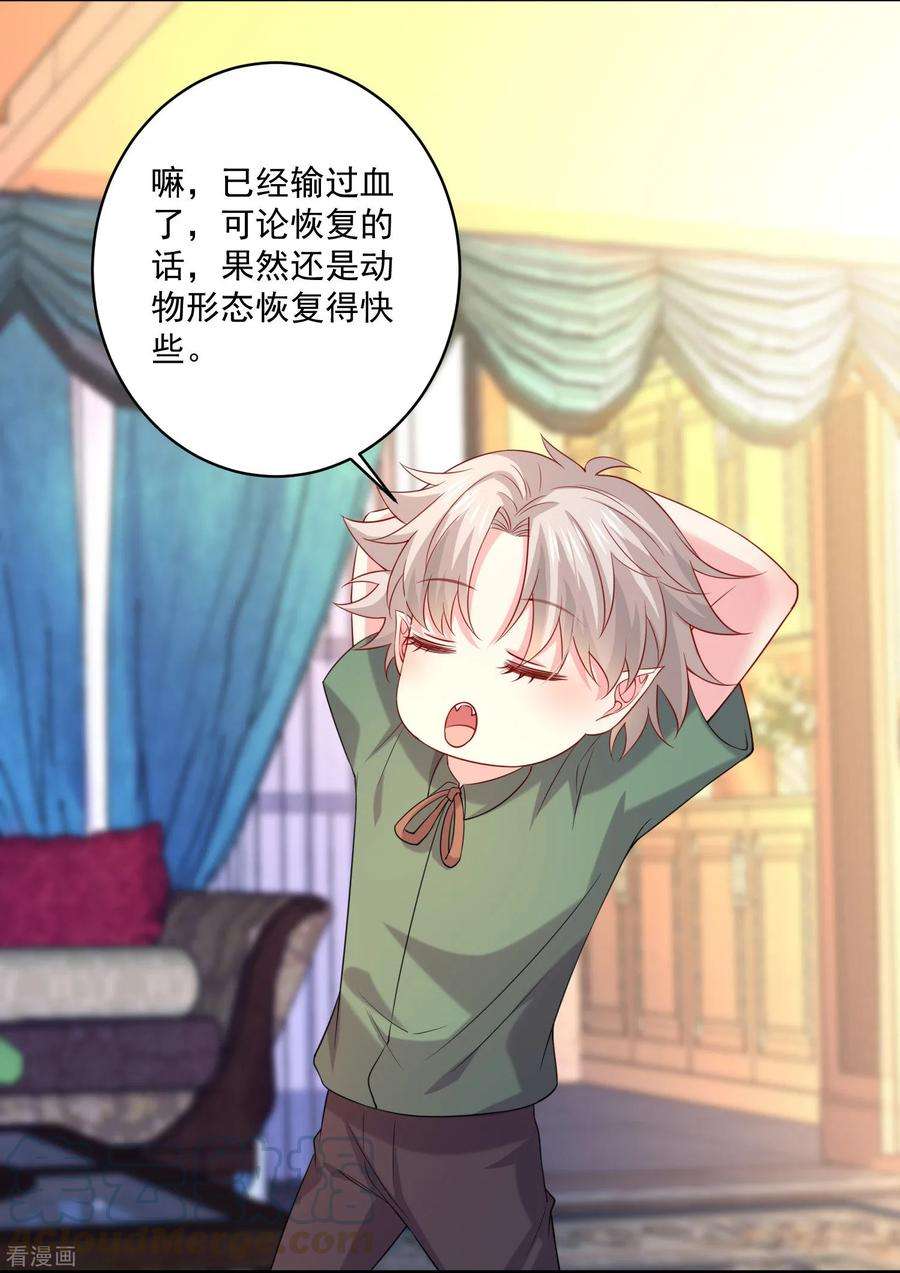 明星是血族238话 如果我的男人是只猫~