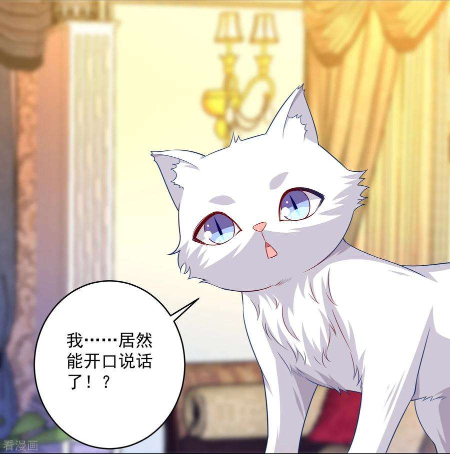 明星是血族240话 给猫白夜洗澡~