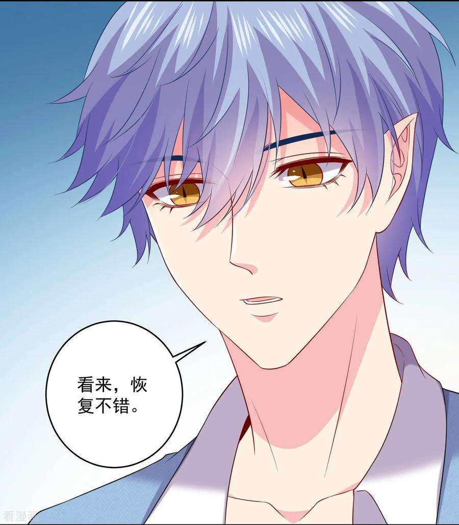 明星是血族240话 给猫白夜洗澡~
