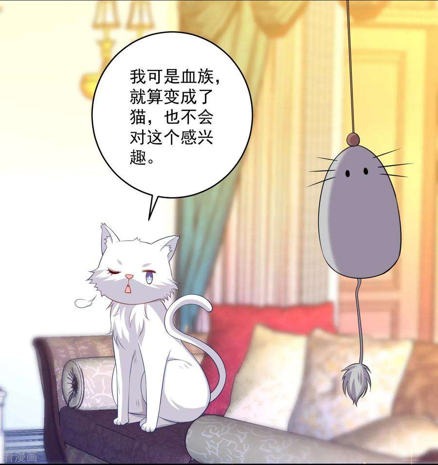 明星是血族240话 给猫白夜洗澡~