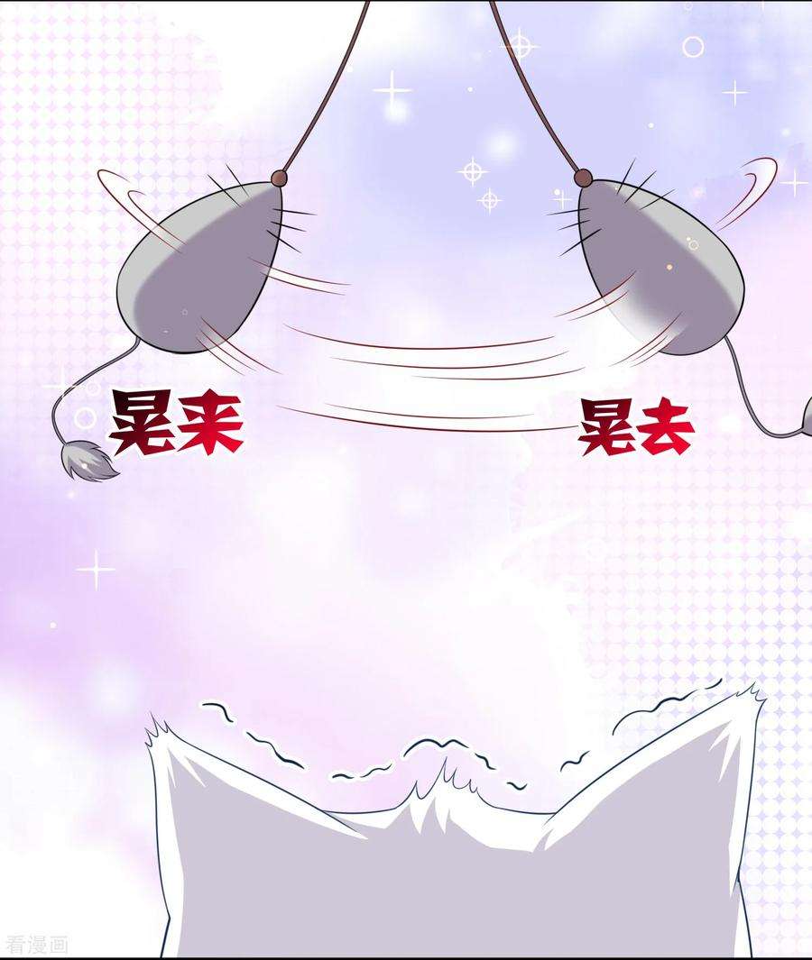 明星是血族240话 给猫白夜洗澡~
