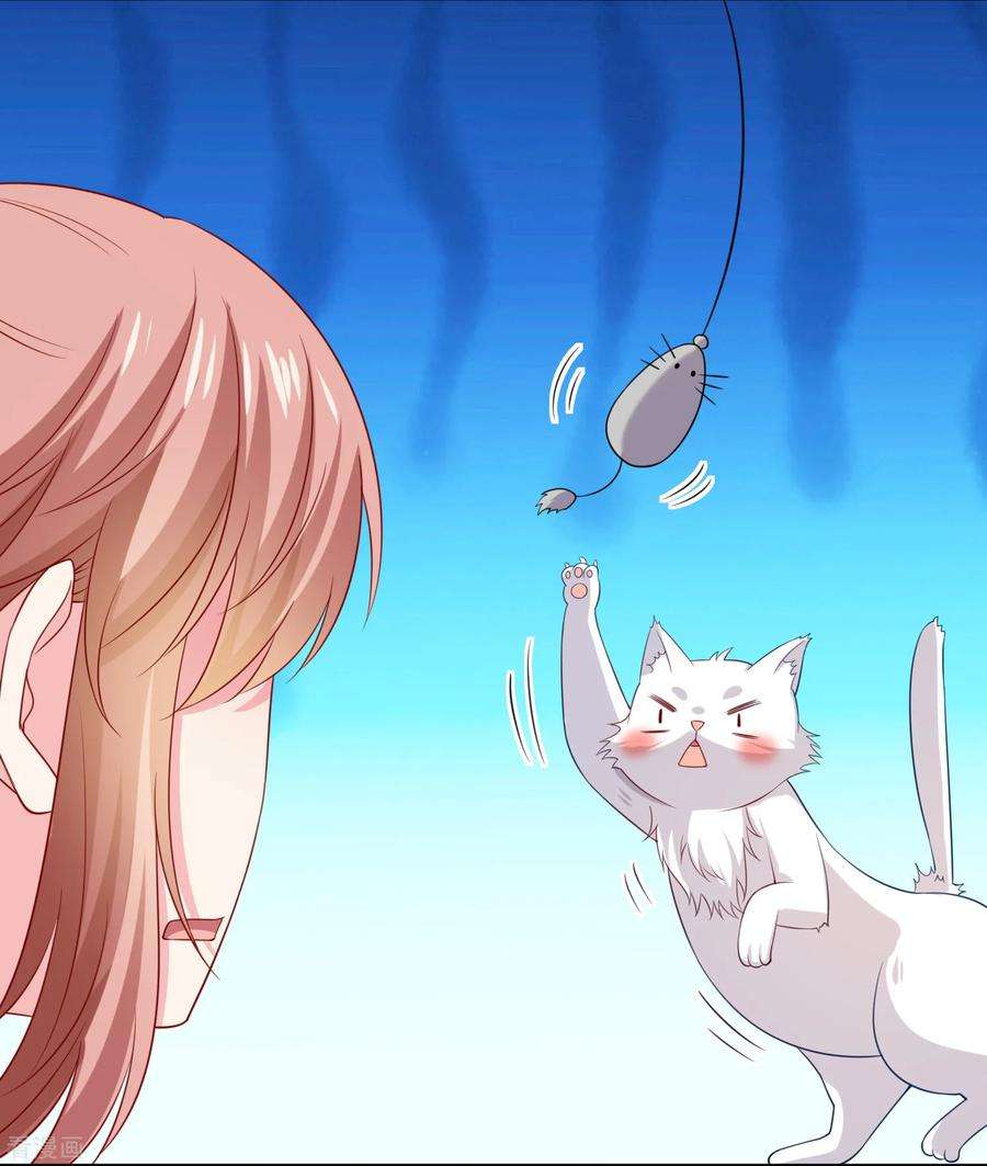 明星是血族240话 给猫白夜洗澡~