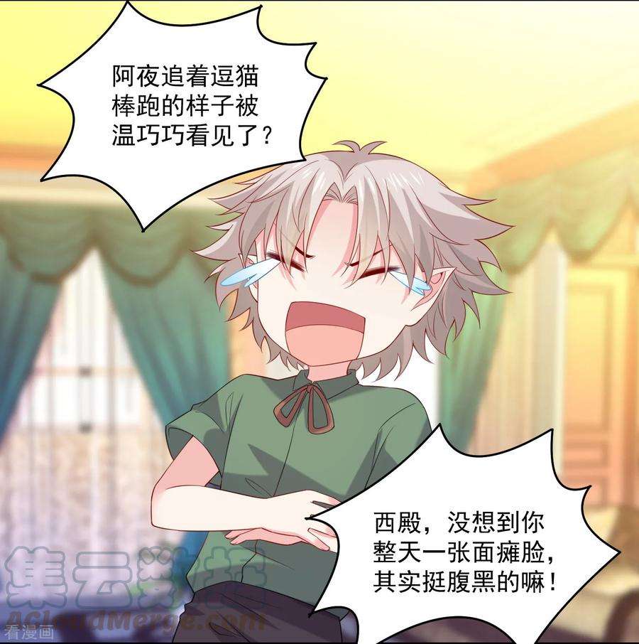 明星是血族240话 给猫白夜洗澡~