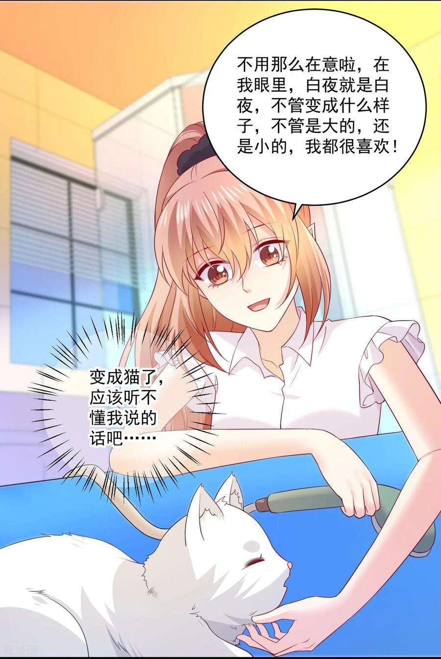 明星是血族240话 给猫白夜洗澡~