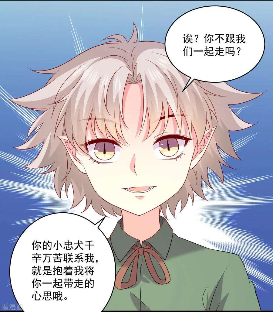 明星是血族240话 给猫白夜洗澡~