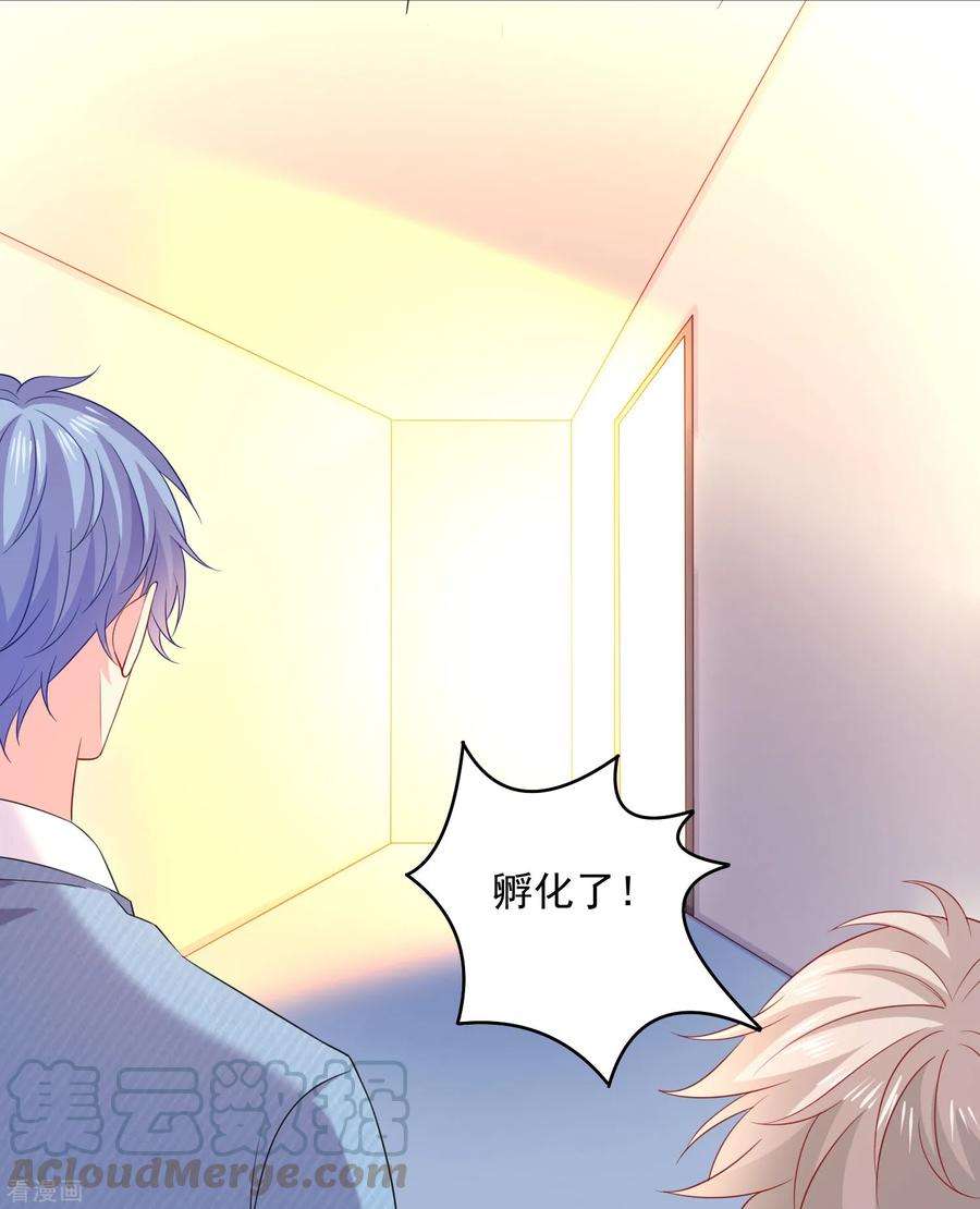 明星是血族245话 我的崽崽居然是……