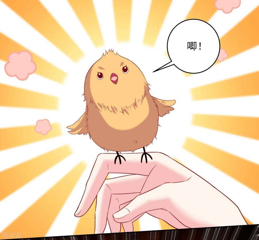 明星是血族246话 女王大人温巧巧！