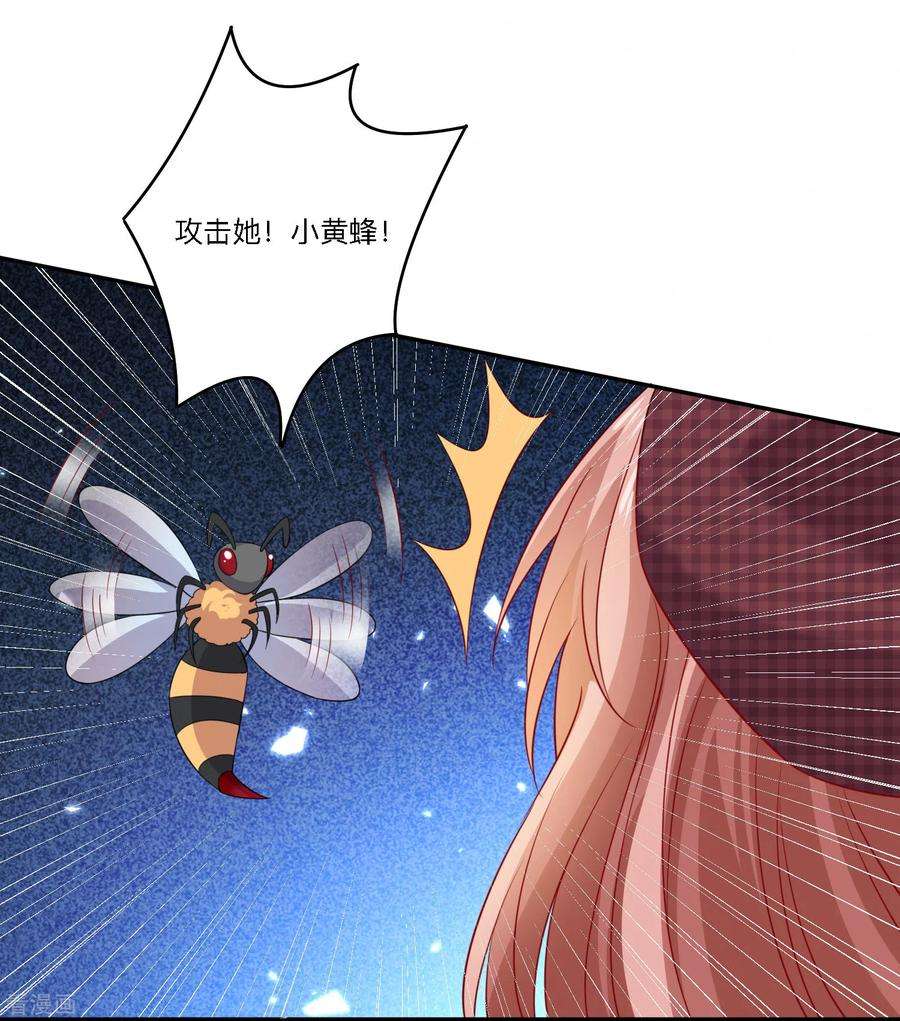 明星是血族249话 眷属崽崽要抱抱