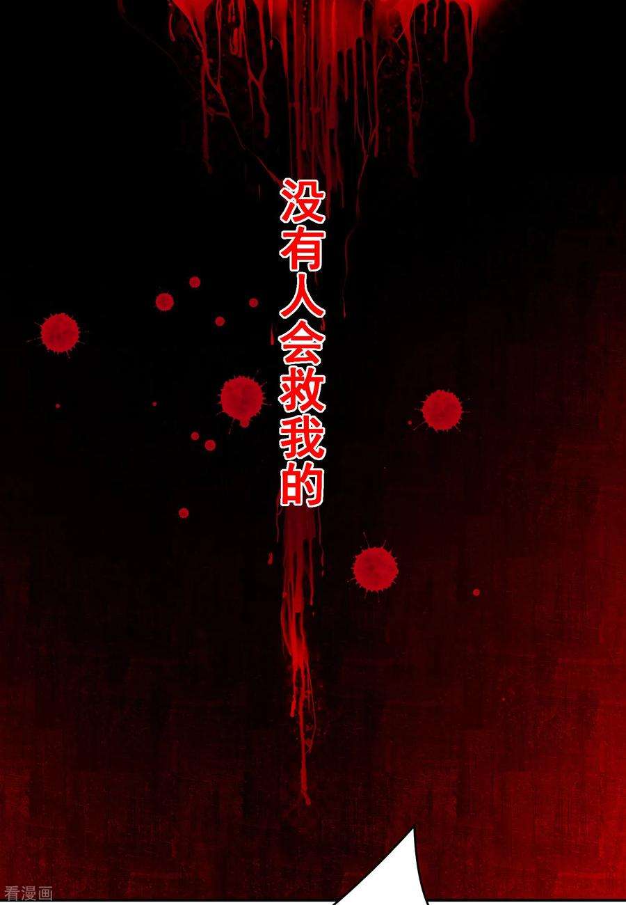 明星是血族250话 带着崽崽闯血宴