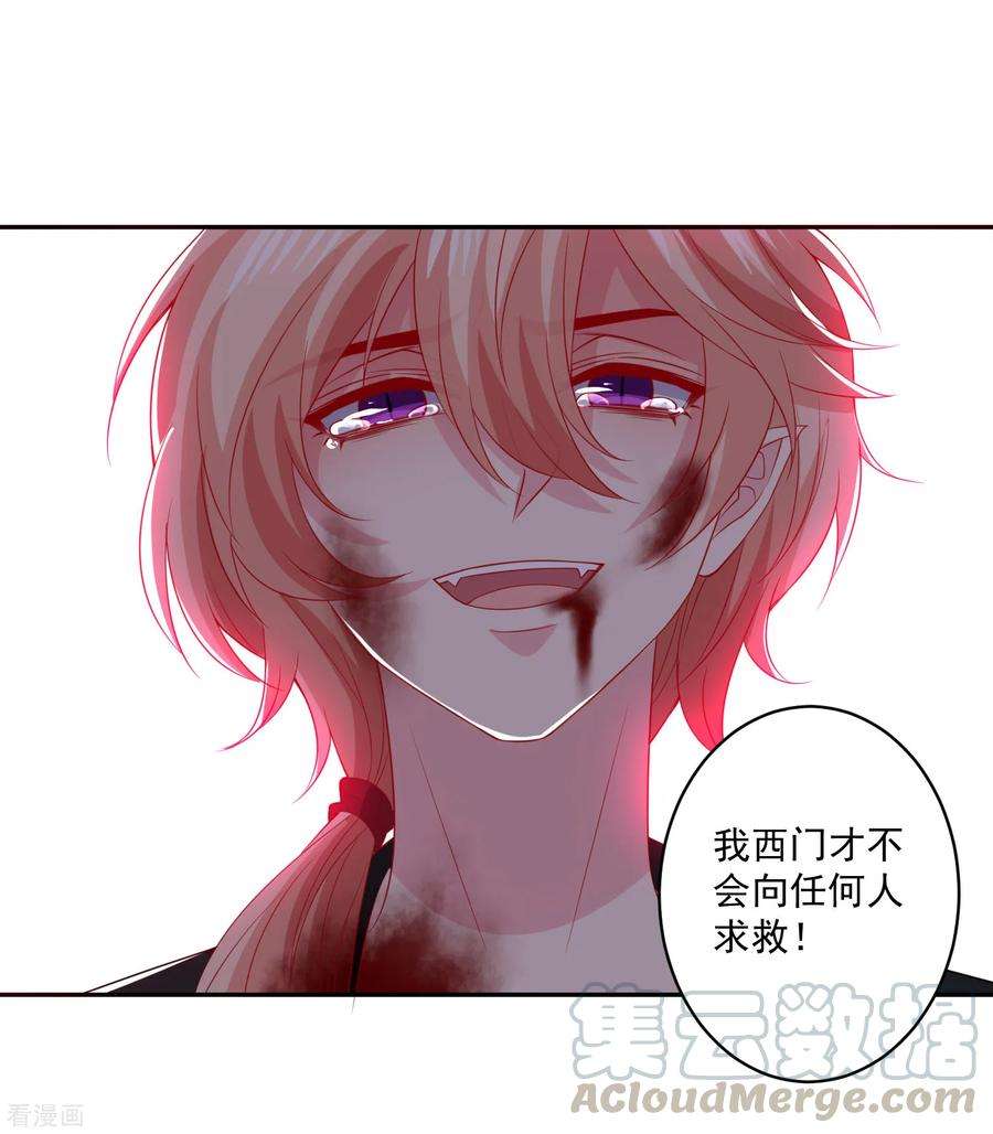 明星是血族250话 带着崽崽闯血宴