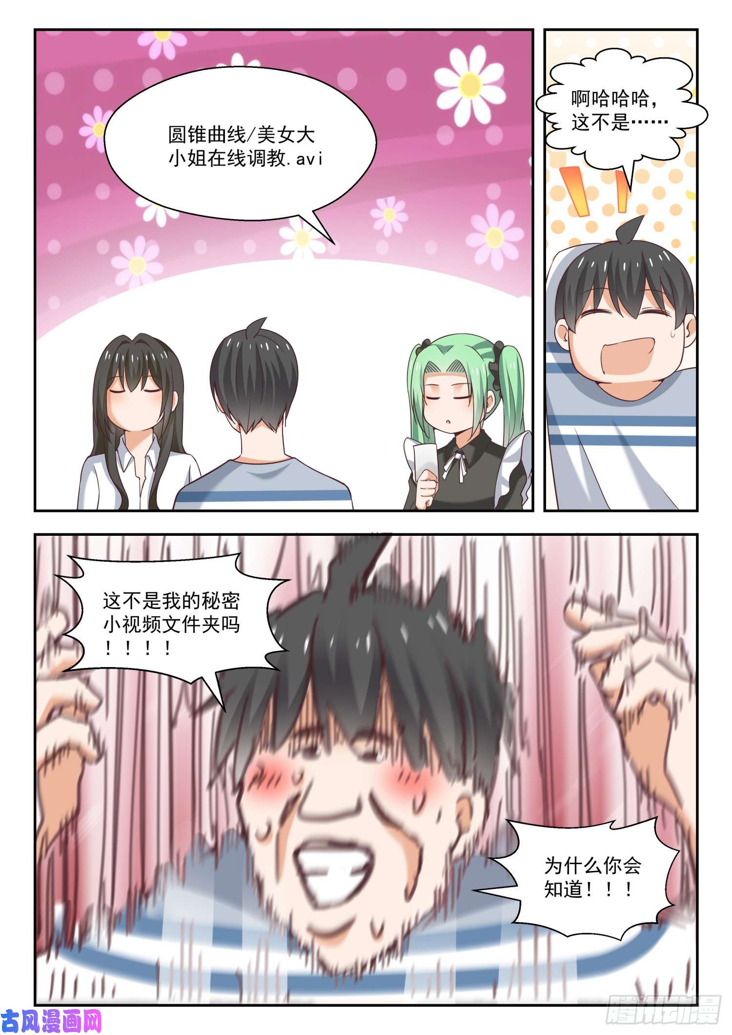 女子学院的男生【254】秦枫的秘密