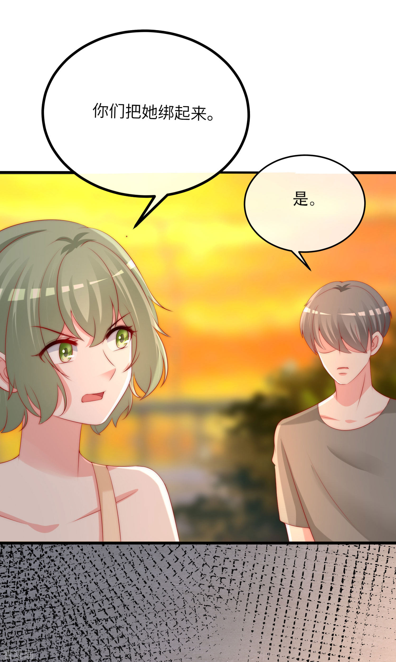 渣男总裁别想逃249话