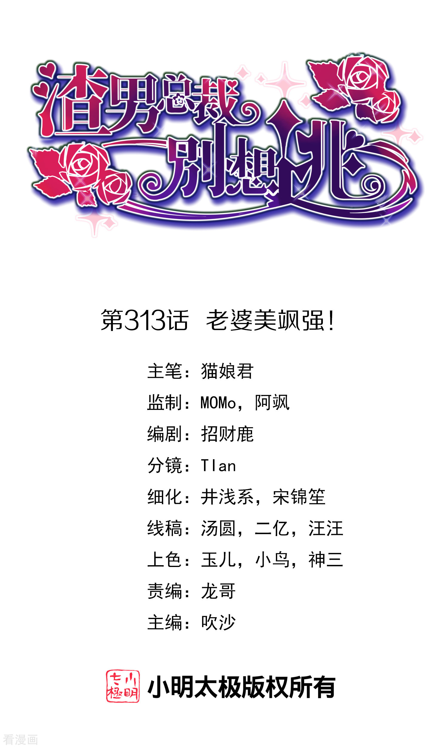 渣男总裁别想逃313话