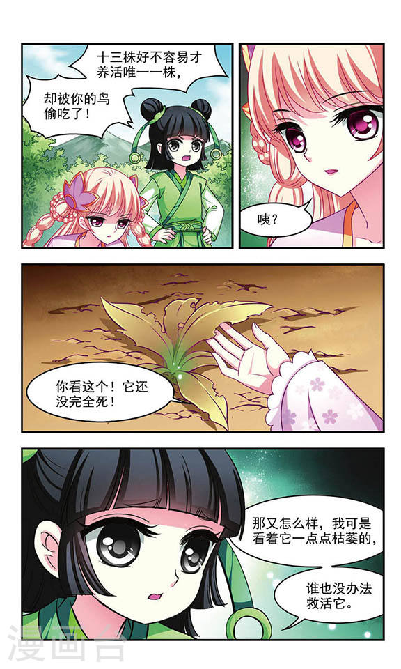 风起苍岚第2季13话 小晚的决意1