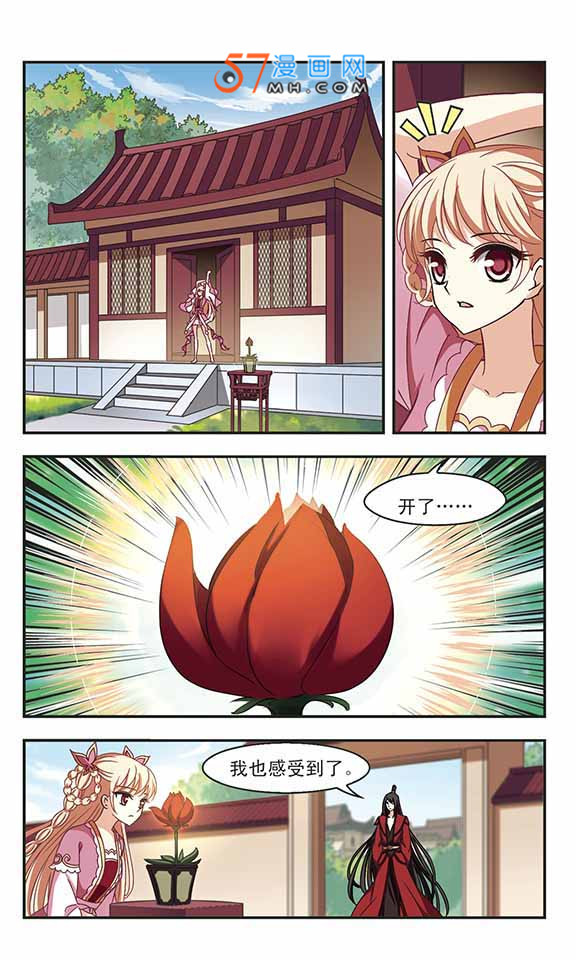 风起苍岚第2季145话 迟来的深情2