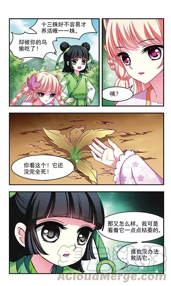 风起苍岚72话 计闯药园3