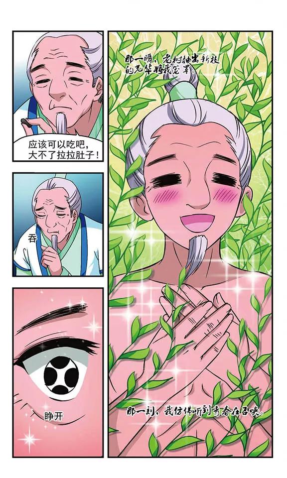 风起苍岚86话 丹药赌斗3