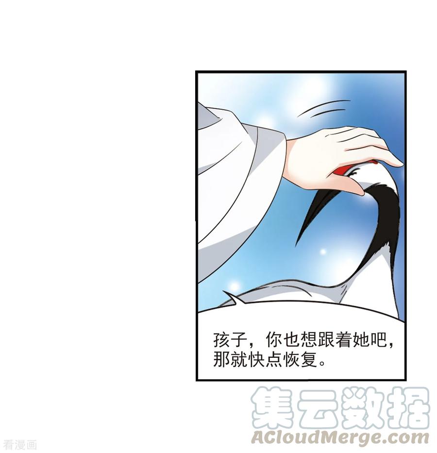 风起苍岚2季4话 他的温柔1