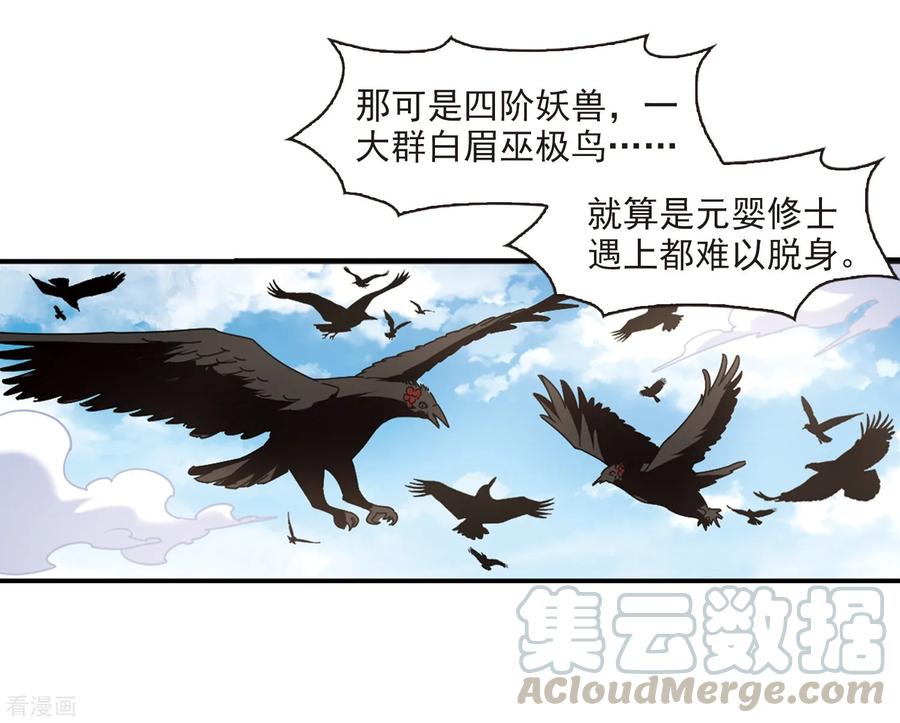 风起苍岚暑期加更通知