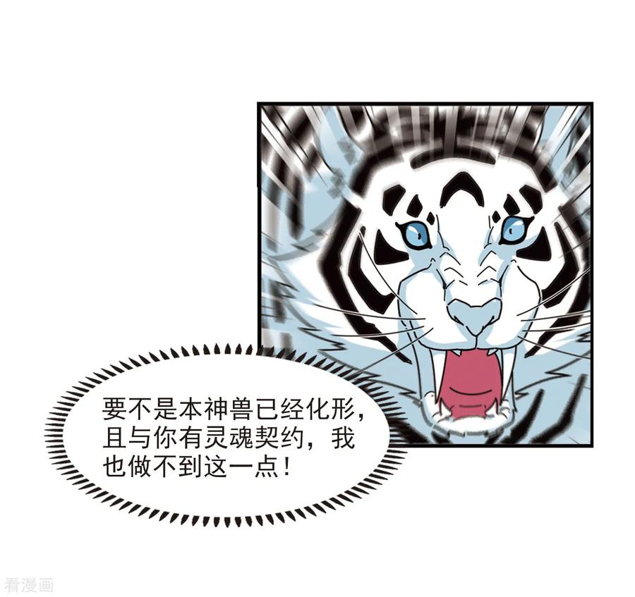 风起苍岚暑期加更通知