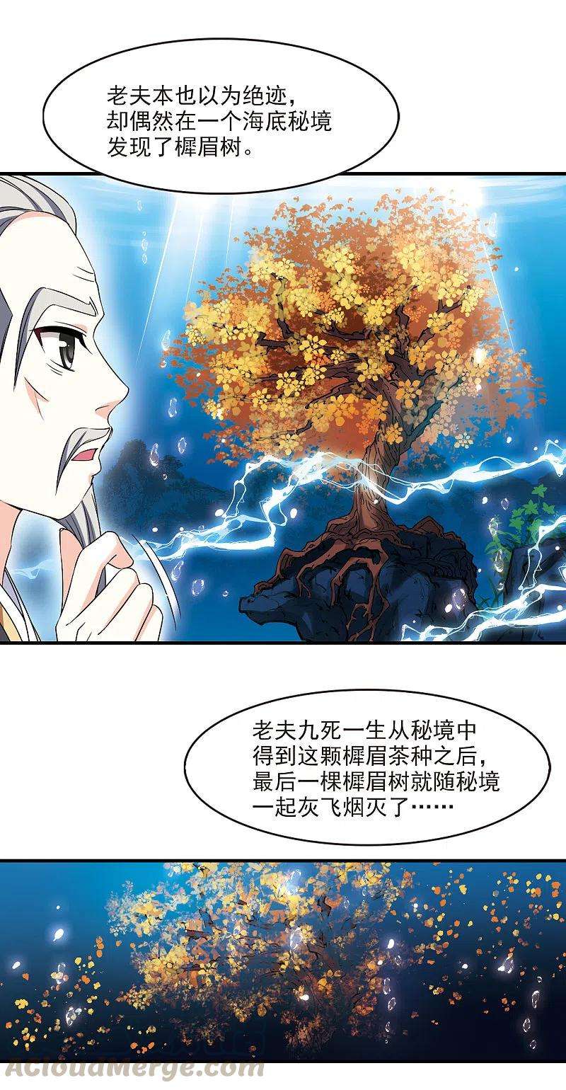 风起苍岚2季96话 阵法师的遗愿3