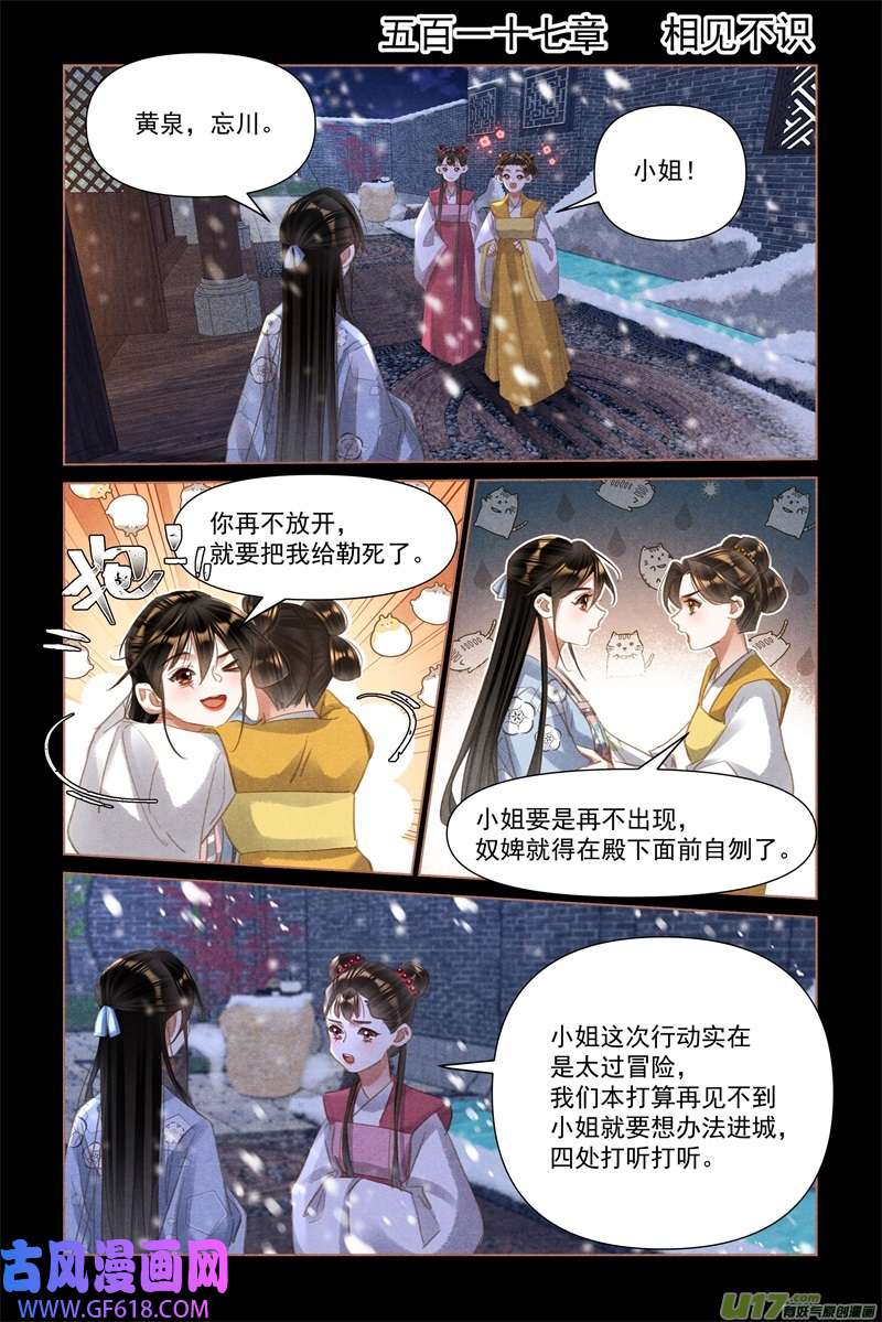 神医嫡女第517话 相见不识