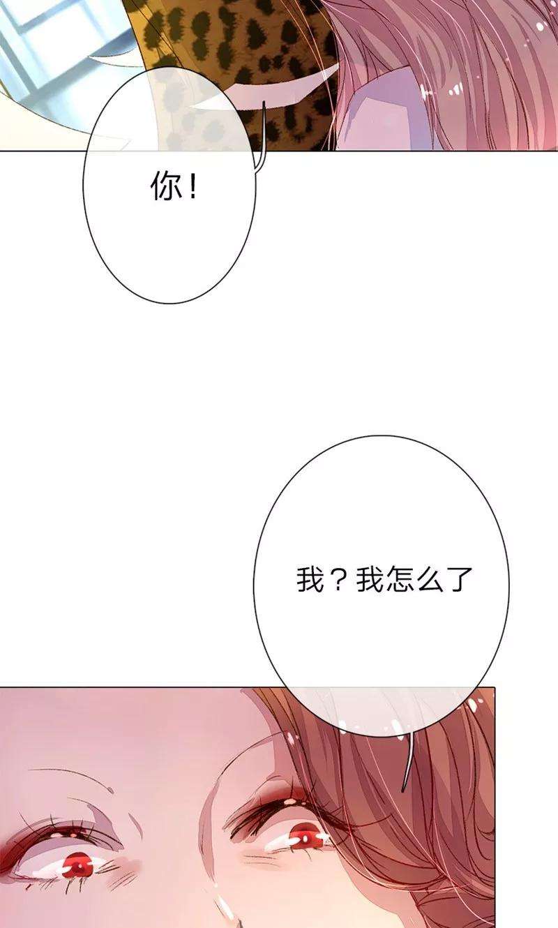 万丈光芒不及你33-34话 真巧，胖女人