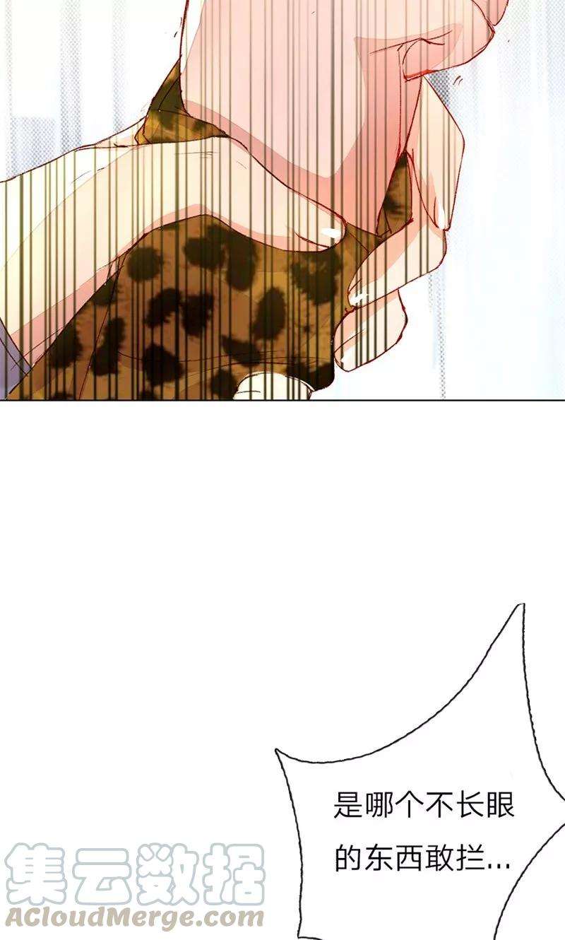 万丈光芒不及你33-34话 真巧，胖女人