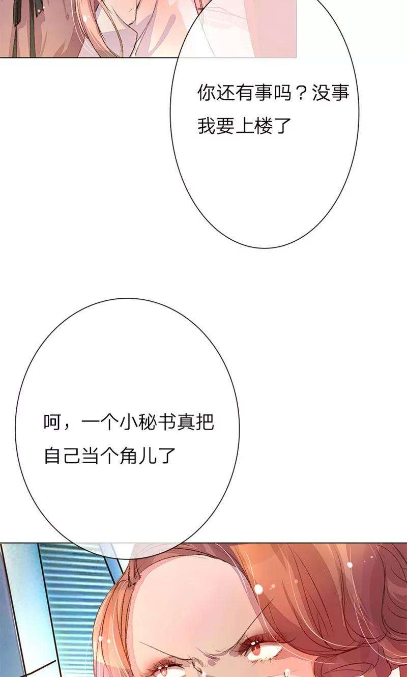 万丈光芒不及你35-36话 首席总助你懂不懂啊