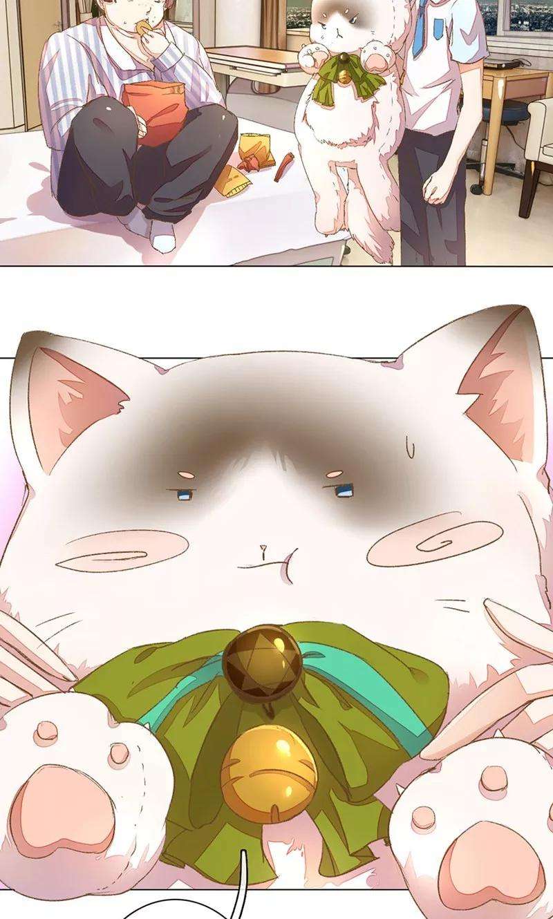 万丈光芒不及你47-48话 王力同学的谎言