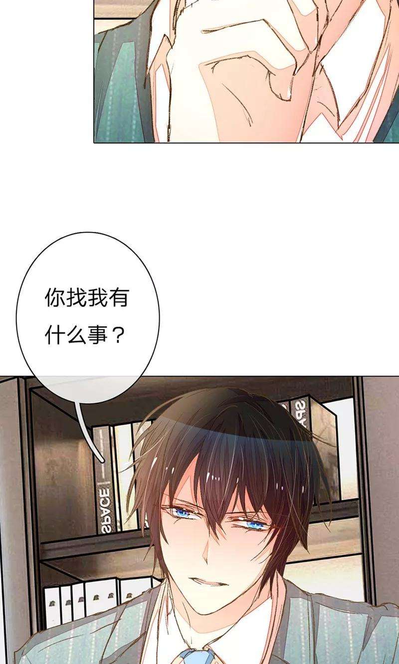 万丈光芒不及你61-62话 陆总老谋深算