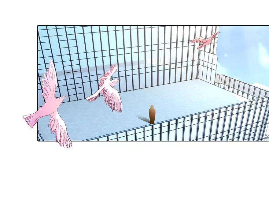 万丈光芒不及你116话 员工被逼跳楼