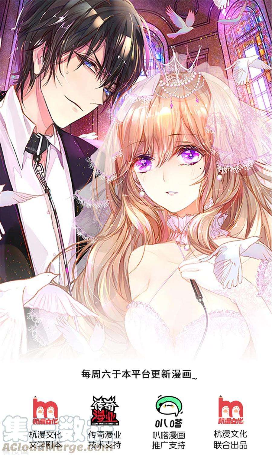 万丈光芒不及你262话 命运的纠缠