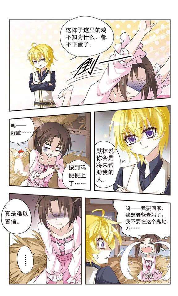 骑士幻想夜11话 没有鸡蛋的世界