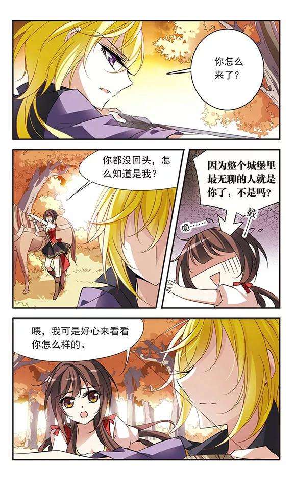 骑士幻想夜71话 流星之泪