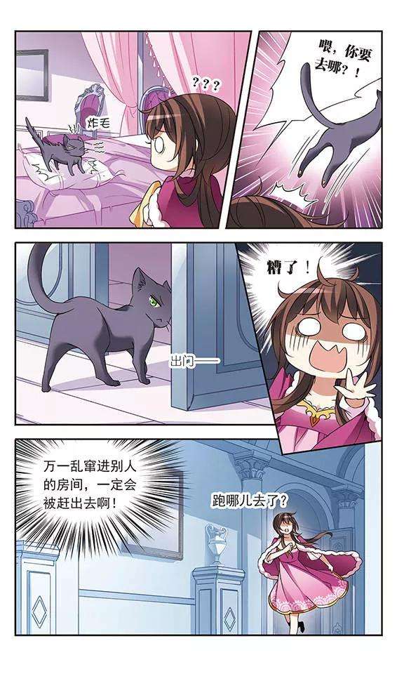 骑士幻想夜73话 black cat