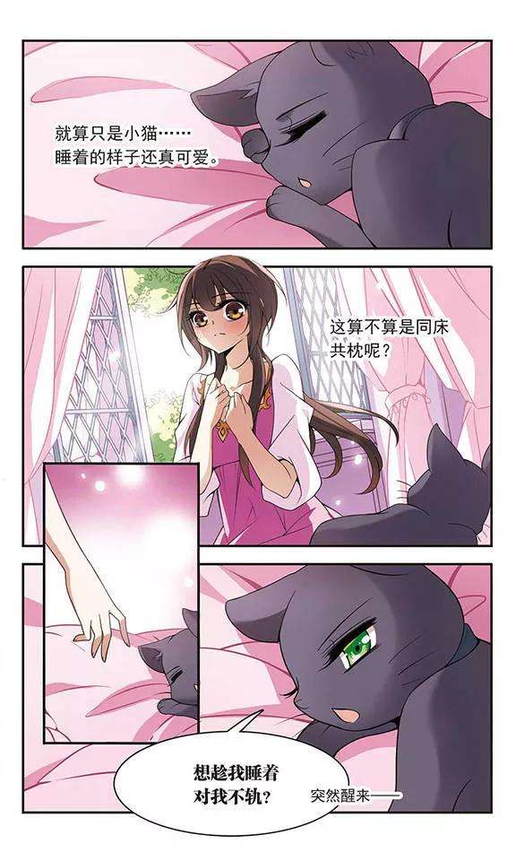 骑士幻想夜74话 变身成猫的亚瑟