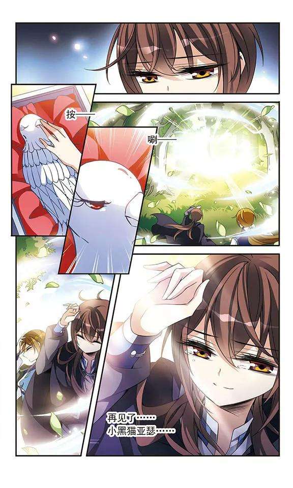 骑士幻想夜85话 再见，黑猫亚瑟