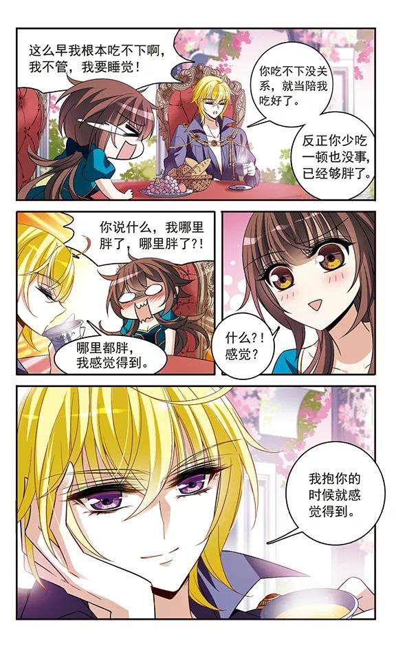 骑士幻想夜137话 计划