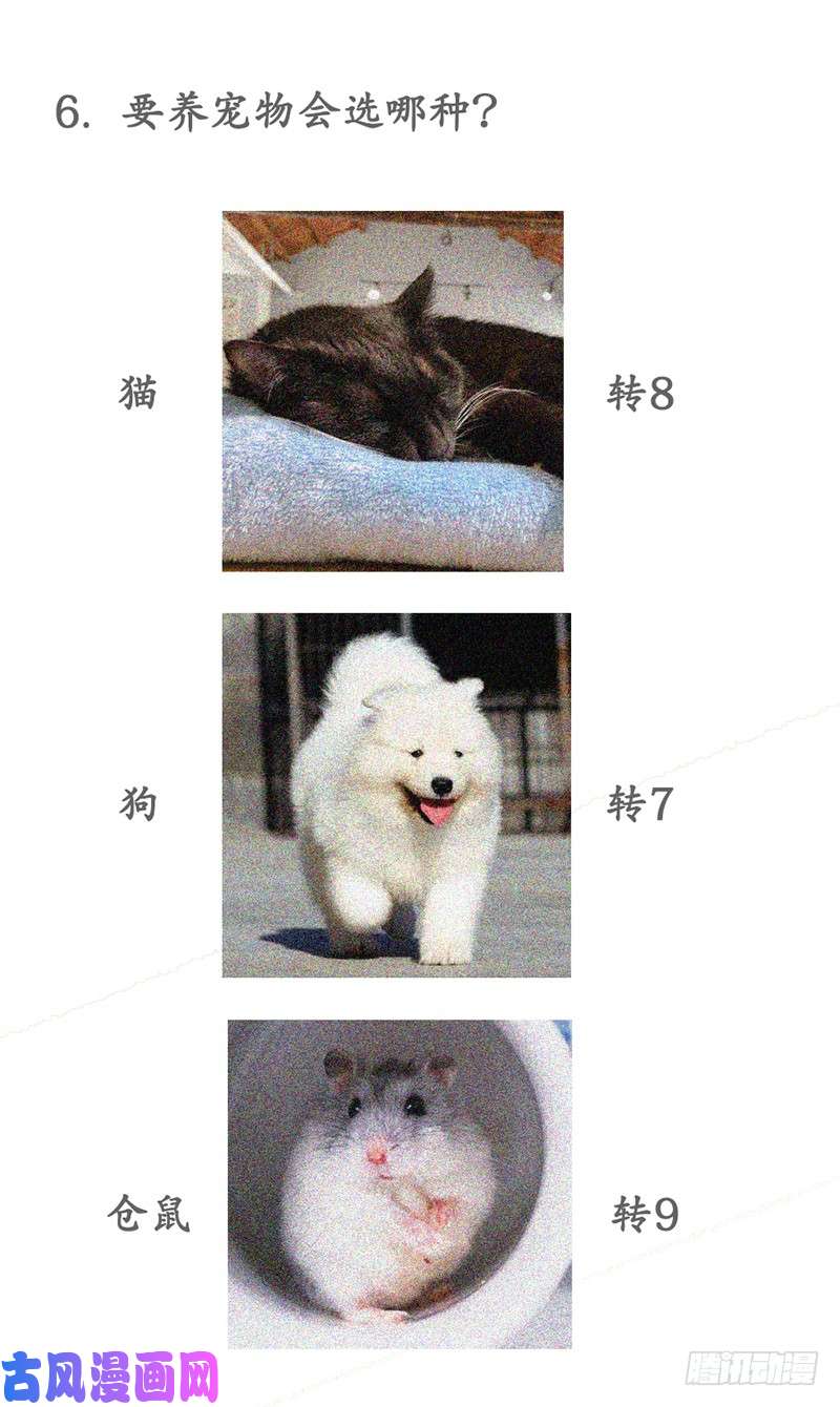 王牌校草爸爸，对不起
