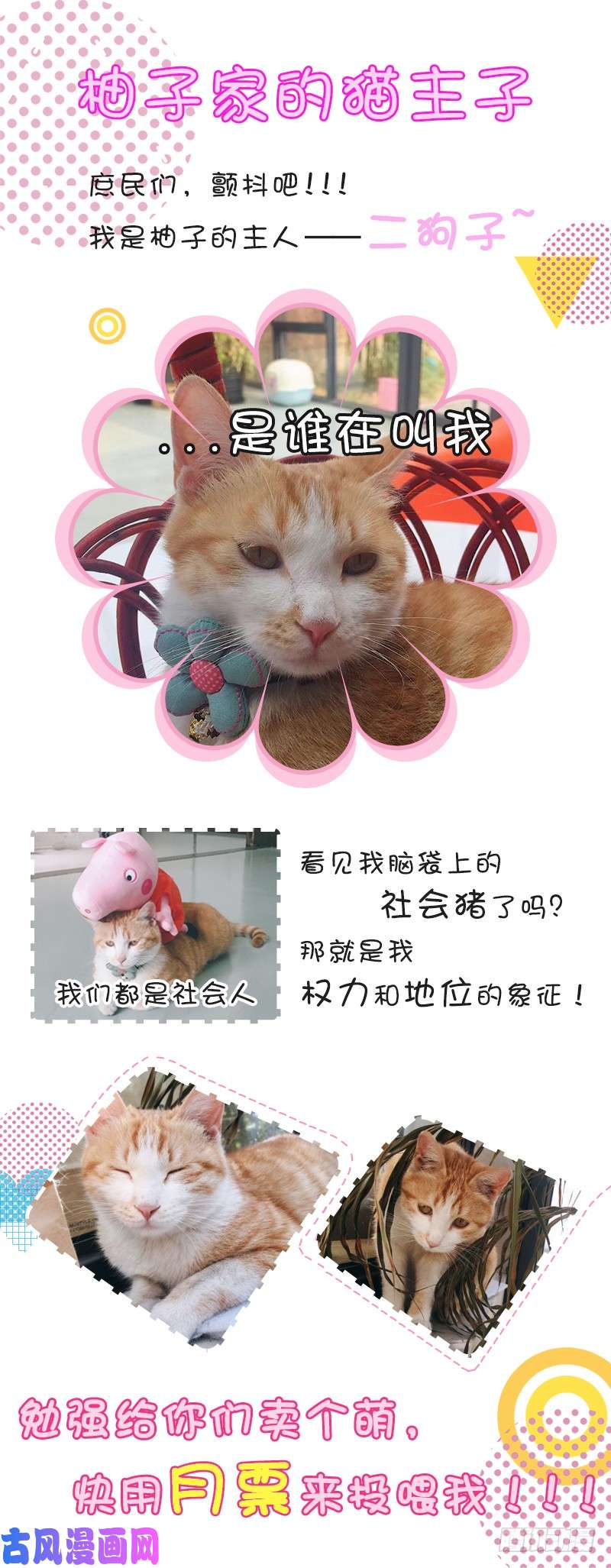 王牌校草我会杀了你