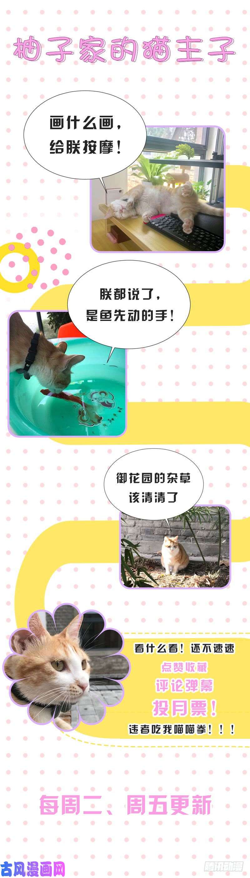 王牌校草你不是我妈妈