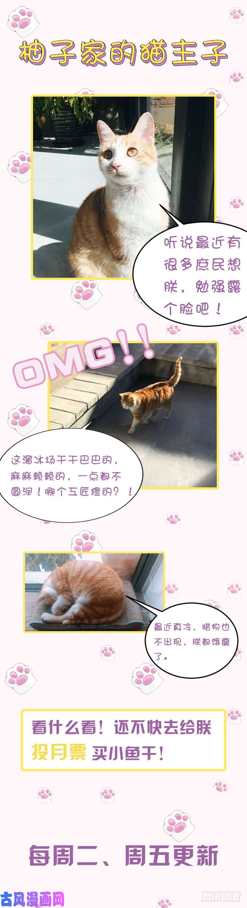 王牌校草小心有诈