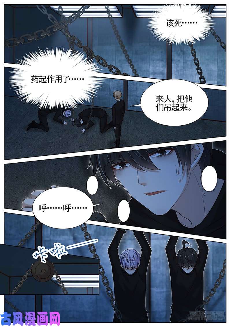 王牌校草被抓
