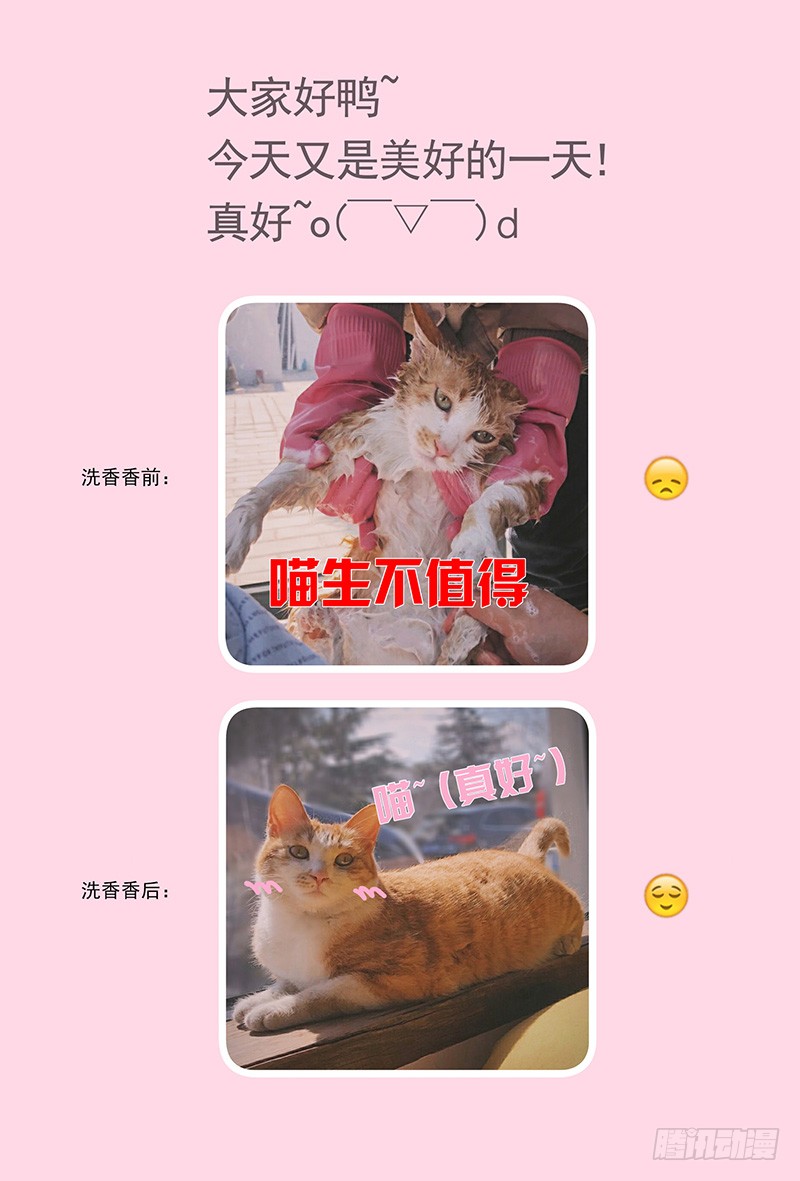 王牌校草妈妈话来了
