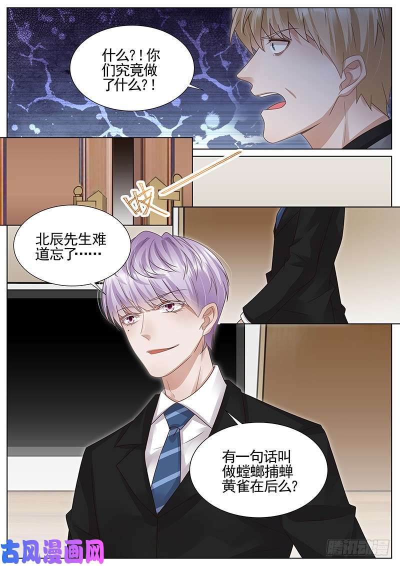 王牌校草黄雀在后